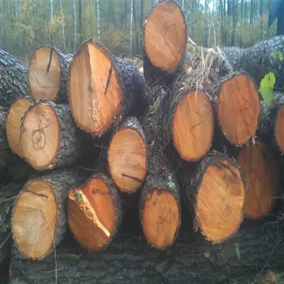 Nerazumne trupce tvrdog drveta